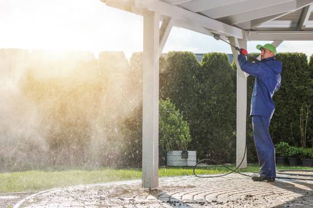 Best Fleet Vehicle Washing  in Watseka, IL