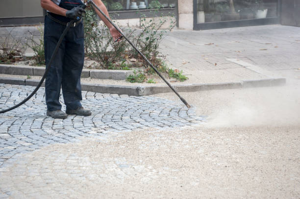 Best Patio and Deck Pressure Washing  in Watseka, IL