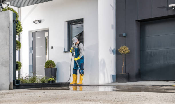 Best Spring Cleaning  in Watseka, IL